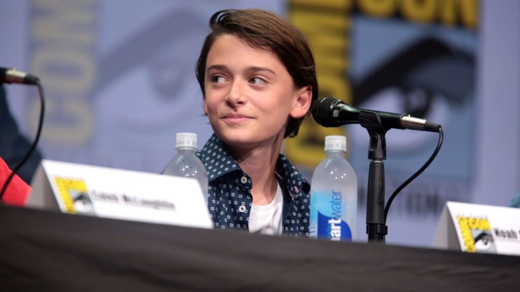 Is Noah Schnapp Gay